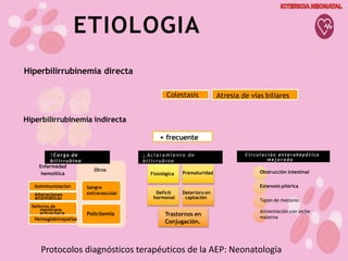 Protocolos diagnósticos terapéuticos de la AEP: Neonatología
ETIOLOGIA
Hiperbilirrubinemia directa
Obstrucción intestinal
Estenosis pilórica
Tapon de meconio
Alimentación con leche
materna
Hiperbilirrubinemia indirecta
Colestasis Atresia de vías biliares
+ frecuente
Alteraciones
enzimáticas
Otros
Sangre
extravascular
Policitemia
↑Carga de
bilirrubina
↓ A c l a r a m i e n t o d e
b il ir r u b ina
Fisiológica Prematuridad
Deficit
hormonal
Deterioro en
captación
Trastornos en
Conjugación.
C i r c u l a c i ó n e n t e r o h e p á t i c a
m e j o r a d a
Hemoglobinopatias
Defectos de
membrana
eritrocitaria
Enfermedad
hemolítica
Isoinmunizacion
 
