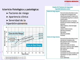 Protocolos diagnósticos terapéuticos de la AEP: Neonatología
Ictericia fisiológica y patológica:
▶ Factores de riesgo
▶ Apariencia clínica
▶ Severidad de la
hiperbilirrubinemia
 