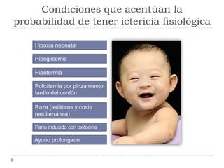 Condiciones que acentúan la
probabilidad de tener ictericia fisiológica
Hipoxia neonatal
Hipoglicemia
Hipotermia
Policitem...