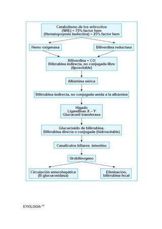ETIOLOGÍA (4)
 