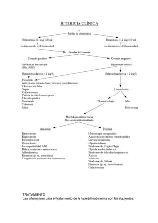 TRATAMIENTO
Las alternativas para el tratamiento de la hiperbilirrubinemia son las siguientes:
 