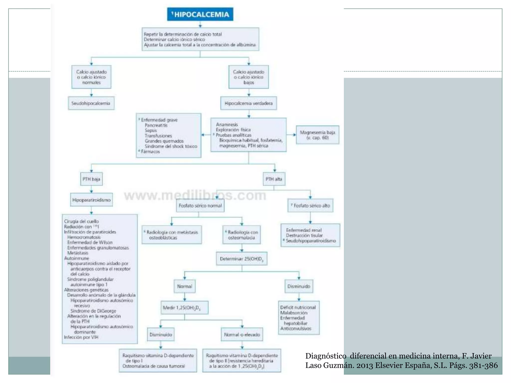 Diagnóstico diferencial en medicina interna, F. Javier
Laso Guzmán. 2013 Elsevier España, S.L. Págs. 381-386
 