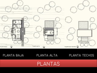 AAS
AA BAJA AA AA AA EHOS
 