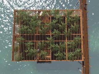 Hiper casa   sukanec-torres