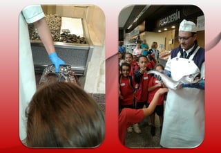 Conociendo los alimentos