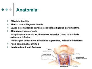 Anatomia: Glândula tireóide Abaixo da cartilagem cricóide Divide-se em 2 lobos (direito e esquerdo) ligados por um istmo. Altamente vascularizada - suprimento arterial: aa. tireoideas superior (ramo da carótida externa) e inferior. - drenagem venosa: vv. tireoideas superiores, médias e inferiores Peso aproximado: 20-25 g  Unidade funcional: Folículo 