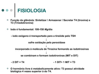 FISIOLOGIA Função da glândula: Sintetizar / Armazenar / Secretar T4 (tiroxina) e T3 (Triiodotironina) Iodo é fundamental: 100-150  Mg/ dia - iodo exógeno é transportado para a tireóide pelo TSH ↓ sofre oxidação pela peroxidase ↓  incorporado à molécula de Tirosina formando as iodotirosinas ↓ se combinam e formam iodotironinas (MIT e DIT) - 2 DIT = T4  - 1 DIT+ 1 MIT = T3 O hormônio livre é metabolicamente ativo: T3 possui atividade biológica 4 vezes superior à do T4. 