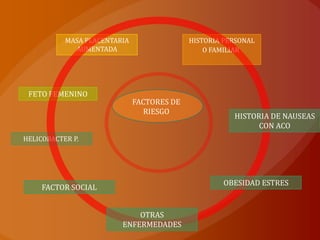 GONADOTROPINA CORIONICA HUMANAPICO DE β-HCGCOINCIDE CON PICO DE NAUSEAS Y VOMITOESTIMULADORA TIROIDEA DEL EMBARAZO. TIROTOXICOSIS TRANSITORIA.SUCEPTIBILIDAD INDIVIDUALEMBARAZO MOLAR O EMBARAZO MULTIPLE