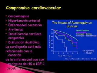 Compromiso cardiovascularCompromiso cardiovascular
 Cardiomegalia
 Hipertensión arterial
 Enfermedad coronaria
 Arritmias
 Insuficiencia cardiaca
congestiva
 Disfunción diastólica
La cardiopatía está más
relacionada con la
duración
de la enfermedad que con
los niveles de HG o IGF-1
circulante.
 