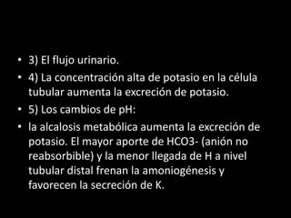 • 3) El flujo urinario. 
• 4) La concentración alta de potasio en la célula 
tubular aumenta la excreción de potasio. 
• 5) Los cambios de pH: 
• la alcalosis metabólica aumenta la excreción de 
potasio. El mayor aporte de HCO3- (anión no 
reabsorbible) y la menor llegada de H a nivel 
tubular distal frenan la amoniogénesis y 
favorecen la secreción de K. 
 