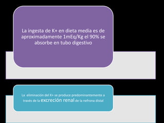 La ingesta de K+ en dieta media es de 
aproximadamente 1mEq/Kg el 90% se 
absorbe en tubo digestivo 
La eliminación del K+ se produce predominantemente a 
través de la excreción renal de la nefrona distal 
 