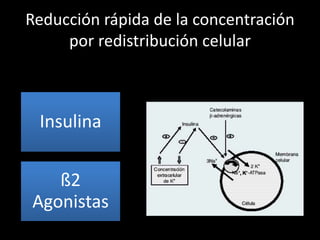 Reducción rápida de la concentración 
por redistribución celular 
Insulina 
ß2 
Agonistas 
 