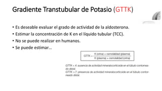 Gradiente Transtubular de Potasio (GTTK)
• Es deseable evaluar el grado de actividad de la aldosterona.
• Estimar la concentración de K en el líquido tubular (TCC).
• No se puede realizar en humanos.
• Se puede estimar…
 