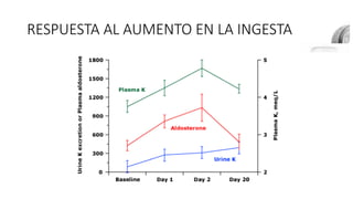 RESPUESTA AL AUMENTO EN LA INGESTA
 