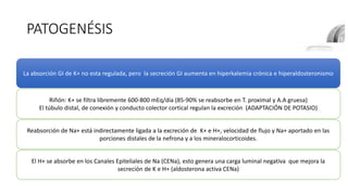 PATOGENÉSIS
La absorción GI de K+ no esta regulada, pero la secreción GI aumenta en hiperkalemia crónica e hiperaldosteronismo
El H+ se absorbe en los Canales Epiteliales de Na (CENa), esto genera una carga luminal negativa que mejora la
secreción de K e H+ (aldosterona activa CENa)
Riñón: K+ se filtra libremente 600-800 mEq/día (85-90% se reabsorbe en T. proximal y A.A gruesa)
El túbulo distal, de conexión y conducto colector cortical regulan la excreción (ADAPTACIÓN DE POTASIO)
Reabsorción de Na+ está indirectamente ligada a la excreción de K+ e H+, velocidad de flujo y Na+ aportado en las
porciones distales de la nefrona y a los mineralocorticoides.
 