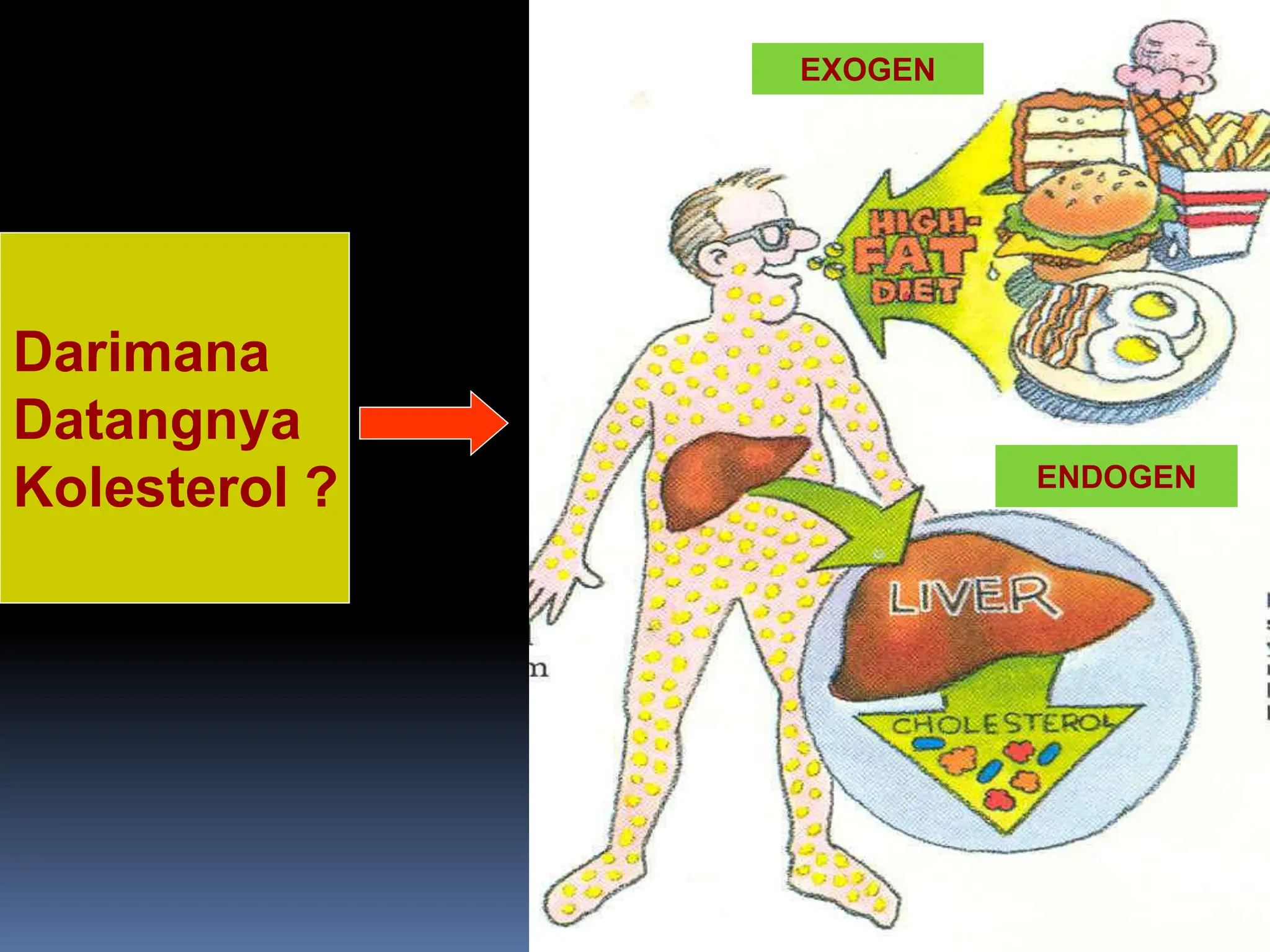 Darimana
Datangnya
Kolesterol ? ENDOGEN
EXOGEN
EXOGEN
EXOGEN
ENDOGEN
 