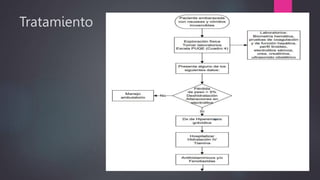 Tratamiento
 