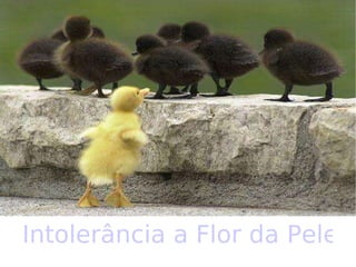 Intolerância a Flor da Pele 