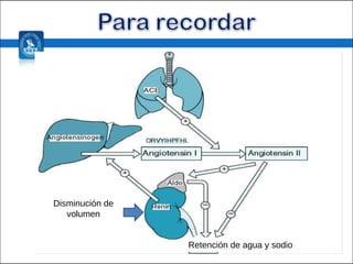 Disminución de volumen Retención de agua y sodio 