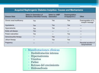 • Manifestaciones clínicas
▫ Deshidratación intensa
▫ Hipernatremia
▫ Vómitos
▫ Fiebre
▫ Retraso del crecimiento
▫ Hidronefrosis
 
