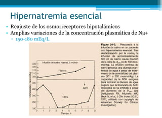 Hipernatremia esencial
• Reajuste de los osmorreceptores hipotalámicos
• Amplias variaciones de la concentración plasmática de Na+
▫ 150-180 mEq/L
 