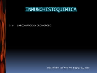 INMUNOHISTOQUIMICA
urol.colomb.Vol. XVII, No. 1: pp 43-54, 2009
C- kit SARCOMATOIDEY CROMOFOBO
 