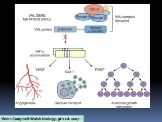 Wein: Campbell-Walsh Urology, 9th ed. 2007
 