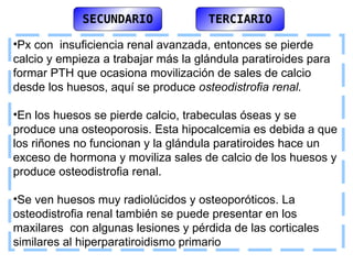 SECUNDARIO TERCIARIO Px con  insuficiencia renal avanzada, entonces se pierde calcio y empieza a trabajar más la glándula paratiroides para formar PTH que ocasiona movilización de sales de calcio desde los huesos, aquí se produce  osteodistrofia renal. En los huesos se pierde calcio, trabeculas óseas y se produce una osteoporosis. Esta hipocalcemia es debida a que los riñones no funcionan y la glándula paratiroides hace un exceso de hormona y moviliza sales de calcio de los huesos y produce osteodistrofia renal.  Se ven huesos muy radiolúcidos y osteoporóticos. La osteodistrofia renal también se puede presentar en los maxilares  con algunas lesiones y pérdida de las corticales similares al hiperparatiroidismo primario  