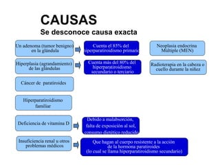 Un adenoma (tumor benigno) en la glándula Hiperplasia (agrandamiento)  de las glándulas Cáncer de  paratiroides   Hiperparatiroidismo  familiar  Radioterapia en la cabeza o  cuello durante la niñez Deficiencia de vitamina D Neoplasia endocrina  Múltiple (MEN) Insuficiencia renal u otros problemas médicos Cuenta el 85% del  hiperparatiroidismo primario Cuenta más del 80% del  hiperparatiroidismo  secundario o terciario Que hagan al cuerpo resistente a la acción  de la hormona paratiroides  (lo cual se llama hiperparatiroidismo secundario) Debido a malabsorción,  falta de exposición al sol, consumo dietético reducido CAUSAS Se desconoce causa exacta 