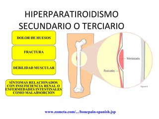 HIPERPARATIROIDISMO SECUNDARIO O TERCIARIO DOLOR DE HUESOS FRACTURA DEBILIDAD MUSCULAR SÍNTOMAS RELACIONADOS  CON INSUFICIENCIA RENAL O  ENFERMEDADES INTESTINALES  COMO MALABSORCIÓN www.zometa.com/.../bonepain-spanish.jsp   