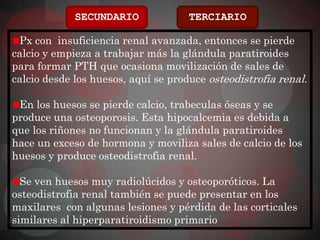 SECUNDARIO              TERCIARIO

 Px con insuficiencia renal avanzada, entonces se pierde
calcio y empieza a trabajar más la glándula paratiroides
para formar PTH que ocasiona movilización de sales de
calcio desde los huesos, aquí se produce osteodistrofia renal.

 En los huesos se pierde calcio, trabeculas óseas y se
produce una osteoporosis. Esta hipocalcemia es debida a
que los riñones no funcionan y la glándula paratiroides
hace un exceso de hormona y moviliza sales de calcio de los
huesos y produce osteodistrofia renal.

  Se ven huesos muy radiolúcidos y osteoporóticos. La
osteodistrofia renal también se puede presentar en los
maxilares con algunas lesiones y pérdida de las corticales
similares al hiperparatiroidismo primario
 