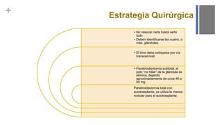 +
• No resecar nada hasta verlo
todo
• Deben identificarse las cuatro, o
más, glándulas.
• El timo debe extirparse por vía
transcervical
• Paratiroidectomía subtotal, el
polo “no hiliar” de la glándula se
elimina, dejando
aproximadamente de unos 40 a
60 mg
Estrategia Quirúrgica
Paratiroidectomía total con
autotrasplante, se utiliza la menos
nodular para el autotrasplante,
 