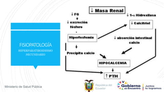 República del
Ecuador
Ministerio de Salud Pública
FISIOPATOLOGÍA
HIPERPARATIROIDISMO
SECUNDARIO
 