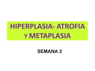 HIPERPLASIA- ATROFIA
Y METAPLASIA
SEMANA 2
 