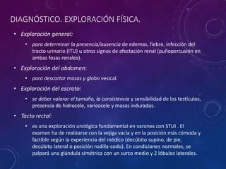 DIAGNÓSTICO. EXPLORACIÓN FÍSICA.
• Exploración general:
• para determinar la presencia/ausencia de edemas, fiebre, infección del
tracto urinario (ITU) u otros signos de afectación renal (puñopercusión en
ambas fosas renales).
• Exploración del abdomen:
• para descartar masas y globo vesical.
• Exploración del escroto:
• se deber valorar el tamaño, la consistencia y sensibilidad de los testículos,
presencia de hidrocele, varicocele y masas induradas.
• Tacto rectal:
• es una exploración urológica fundamental en varones con STUI . El
examen ha de realizarse con la vejiga vacía y en la posición más cómoda y
factible según la experiencia del médico (decúbito supino, de pie,
decúbito lateral o posición rodilla-codo). En condiciones normales, se
palpará una glándula simétrica con un surco medio y 2 lóbulos laterales.
 