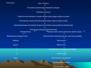 Patofisiologi

Usia > 50 tahun
Perubahan keseimbangan tedtosteron estrogen
Testosteron menurun
Terjadi konversi testostero...