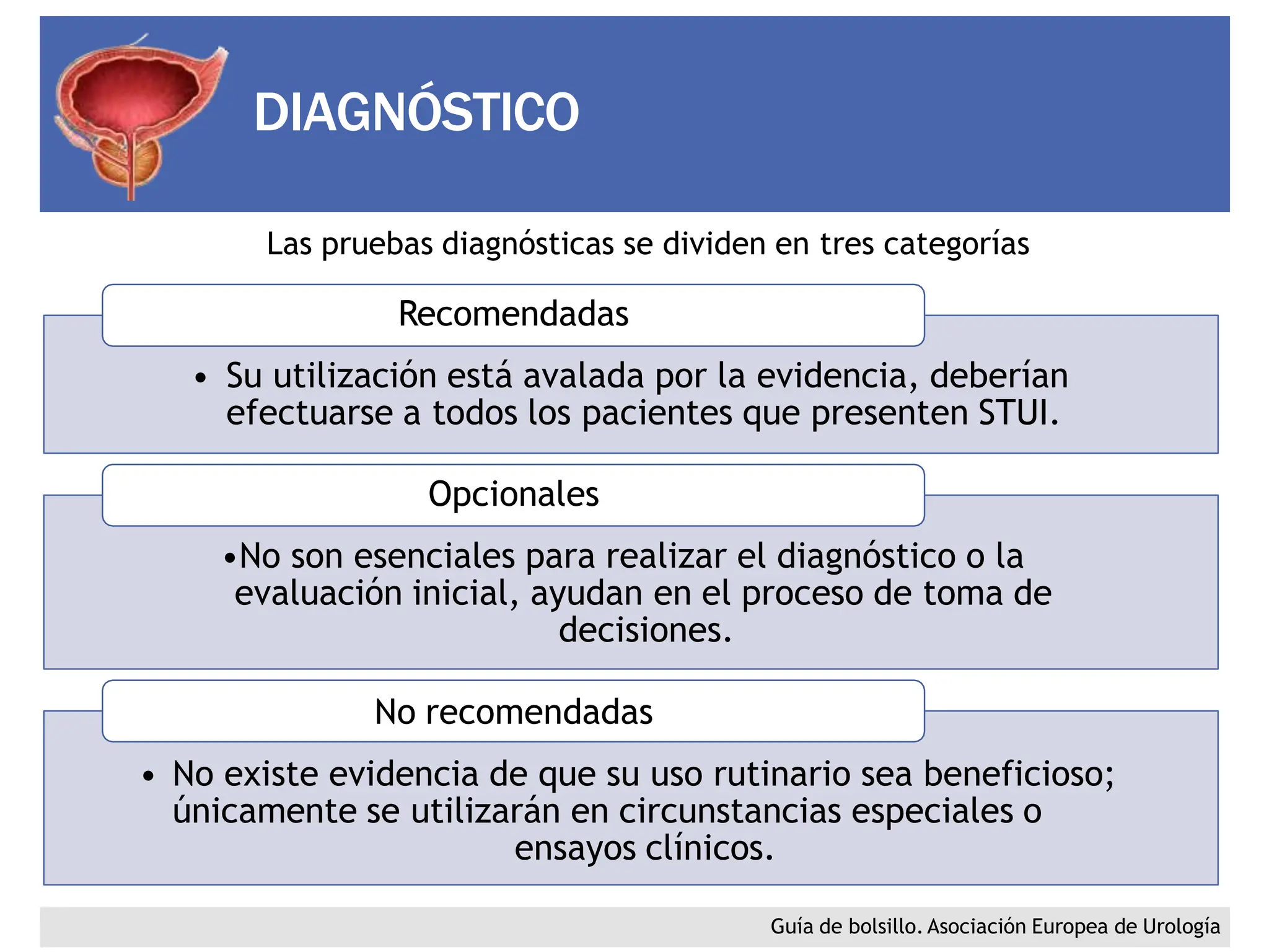 HIPERPLASIA PROSTATICA BENIGNA ANATOMÍA DE LA PRÓSTATA | PPTX