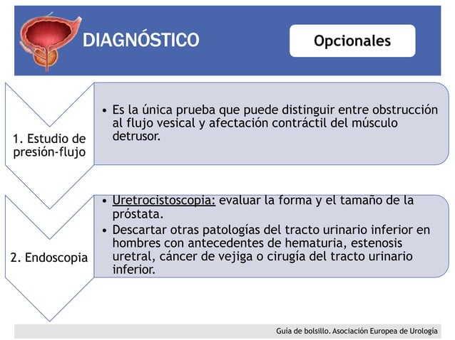 HIPERPLASIA PROSTATICA BENIGNA ANATOMÍA DE LA PRÓSTATA | PPTX