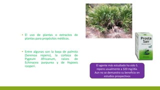 ▪ El uso de plantas o extractos de
plantas para propósitos médicos.
▪ Entre algunas son la baya de palmito
(Serenoa repens), la corteza de
Pygeum Africanum, raíces de
Echinacea purpurea y de Hypoxis
rooperi. El agente más estudiado ha sido S.
repens usualmente a 320 mg/día.
Aun no se demuestra su beneficio en
estudios prospectivos
 