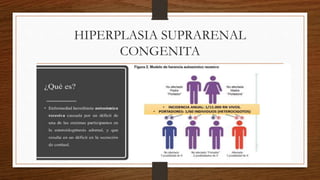 Hiperplasia suprarenal congenita.pptx