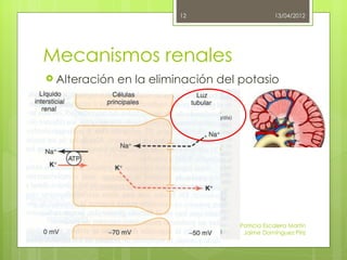 12                     13/04/2012




Mecanismos renales
 Alteración   en la eliminación del potasio




                                     Patricia Escalera Martín
                                      Jaime Domínguez Píriz
 