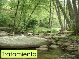 13                               09/05/12




Tratamiento
                   Jaime Domínguez Píriz, 6º de Medicina
 