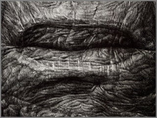 Hiperrealistic Paintings By Pedro Madeira Pinto