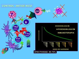 CONTROL  ANTIGÉNICO DESENSIBILIZACIÓN HIPOSENSIBILIZACIÓN INMUNOTERAPIA DOSIS DE ALERGENO SINTOMAS EFECTIVIDAD: 60-70%  II B Eo   IL-13   IL-4 CP IgG II CD4 Th2 CD4+ CPA CC IL-5 Th1 CD4+ II CD4 T reg CD4+ IFN-  TGF-  IL-10 CPA IL-12 ¿? 