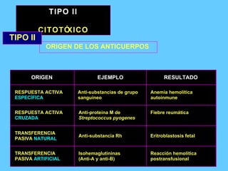 TIPO II CITOTÓXICO ORIGEN DE LOS ANTICUERPOS RESPUESTA ACTIVA ESPECÍFICA RESPUESTA ACTIVA ESPECÍFICA RESPUESTA ACTIVA CRUZADA RESPUESTA ACTIVA CRUZADA TRANSFERENCIA PASIVA NATURAL TRANSFERENCIA PASIVA  NATURAL TRANSFERENCIA PASIVA ARTIFICIAL TRANSFERENCIA PASIVA  ARTIFICIAL ORIGEN ORIGEN EJEMPLO EJEMPLO RESULTADO RESULTADO Anti-substancias de grupo sanguíneo Anti-substancias de grupo sanguíneo Anti-proteína M de Streptococcus pyogenes Anti-proteína M de Streptococcus pyogenes Anti-substancia Rh Anti-substancia Rh Isohemaglutininas (Anti-A y anti-B) Isohemaglutininas (Anti-A y anti-B) Anemia hemolítica autoinmune Anemia hemolítica autoinmune Fiebre reumática Fiebre reumática Eritroblastosis fetal Eritroblastosis fetal Reacción hemolítica postransfusional Reacción hemolítica postransfusional TIPO II 