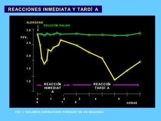 0 1 2  3  4   5   6   7   8 3.0 2.5 2.0 1.5 1.0 ALERGENO SOLUCIÓN SALINA FEV 1 REACCIÓN INMEDIATA REACCIÓN TARDÍA HORAS FEV 1  = VOLUMEN ESPIRATORIO FORZADO EN UN SEGUNDO REACCIONES INMEDIATA Y TARDÍA 