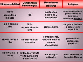 Hipersensibilidad
Componente
inmunológico
Mecanismos
efectores
Antígeno
Tipo I
segundos a
minutos
IgE
mastocitos,
basófilos y
mediadores
proteínas solubles,
generalmente de
bajo peso
Molecular;alergeno
Tipo II horas a
días
IgG,
(ocasionalmente
IgM)
complemento
antígenos tisulares
o celulares de
superficie
Tipo III horas a
días
inmunocomplejos
insolubles
complemento,
reclutamiento de
células
inflamatorias
polisacáridos
bacterianos,
proteínas
Tipo IV 24 a 72
horas
linfocitos T (Th1)
y citoquinas pro-
inflamatorias
macrófagos
activados
Virus, Proteínas de
Bacterias, Hongos
 