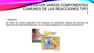 EXISTEN VARIOS COMPONENTES
COMUNES DE LAS REACCIONES TIPO
I
• Alergenos:
Se refiere de manera específica a los antígenos no parasitarios capaces de estimular las
reacciones de hipersensibilidad tipo I en los sujetos alérgicos en una segunda exposición.
 