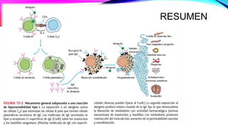 RESUMEN
 