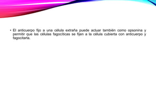 • El anticuerpo fijo a una célula extraña puede actuar también como opsonina y
permitir que las células fagocíticas se fijen a la célula cubierta con anticuerpo y
fagocitarla.
 